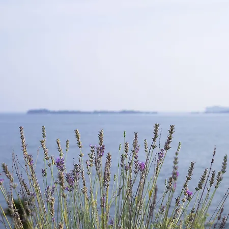 Florida & Hotell Gardone Riviera