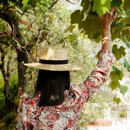 Florida Suites&suite