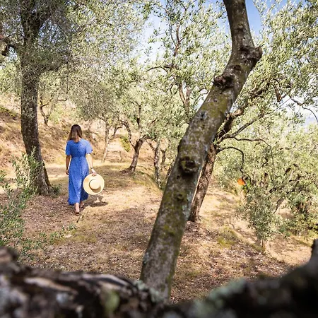 Hotel Florida Suites&suite 4*