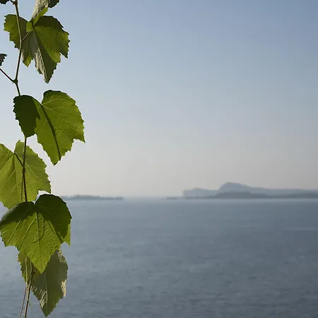 Florida Suites&suite Hotel